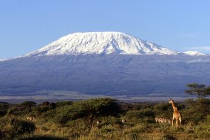 Mt. Kilimanjaro Conquered!