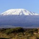Mt. Kilimanjaro Conquered!